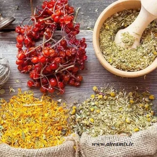 تاریخچه عطر و ادکلن؛ سفری از مصر باستان تا دنیای مدرن