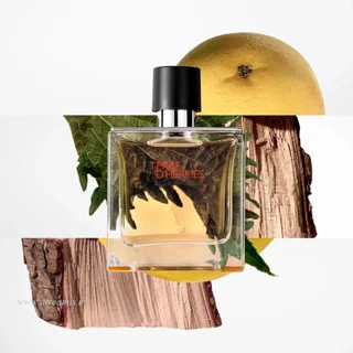 اسانس عطر هرمس تق هرمس Hermes Terre d’Hermes