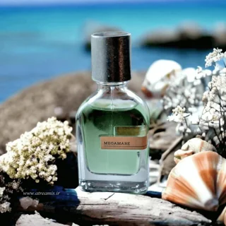 عطر مگاماره اورتو پاریسی | Orto Parisi Megamare