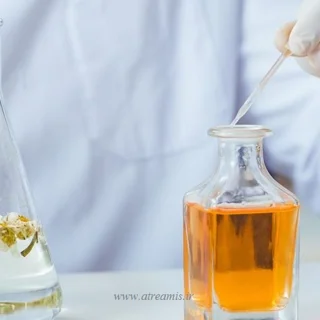 عجیبترین مواد اولیه عطر که باور نمیکنید در رایحههای لوکس استفاده میشوند!